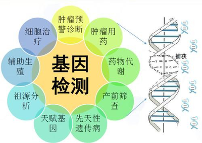武汉厚德仁信 基因检测行业的一匹黑马