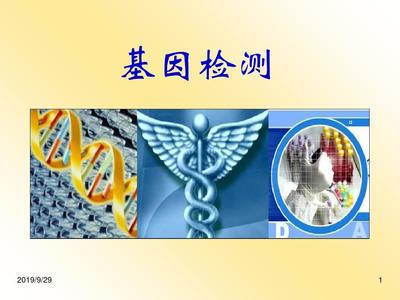 基因检测专业讲课稿正式版 ppt课件共37页