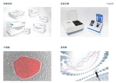 凯普生物(300639.SZ) 精准分子诊断细分龙头 基因检测领域的隐秘冠军